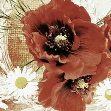 Схема вышивки «маки и ромашки»