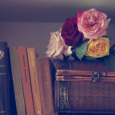 Схема вышивки «Шкатулка на книжной полке»