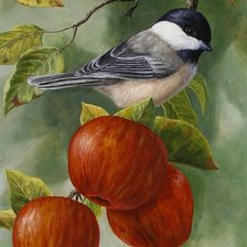 Схема вышивки «№1164867»