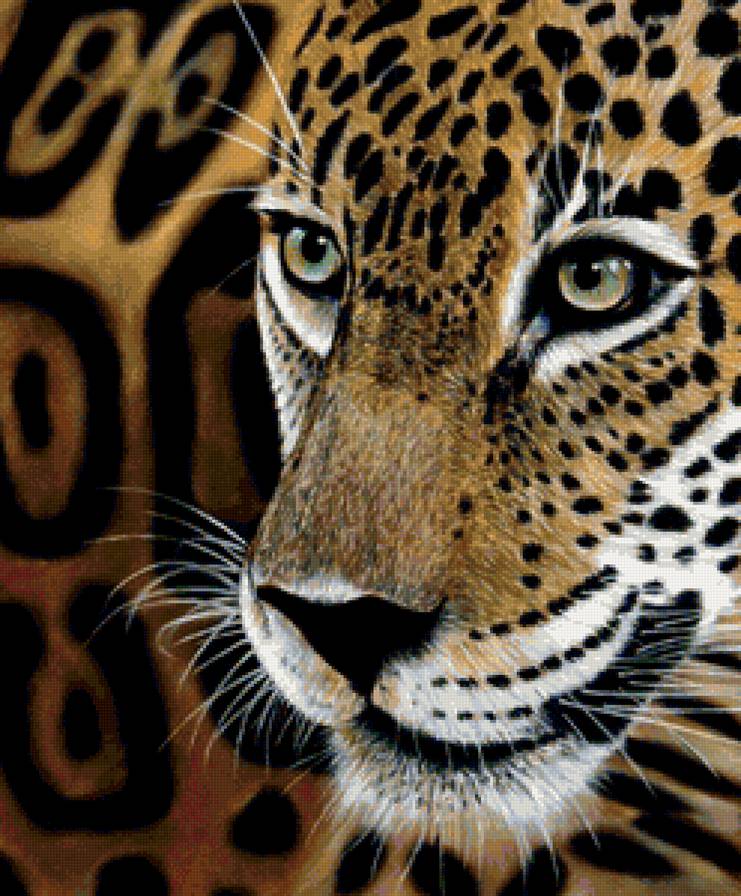 ягуар - предпросмотр