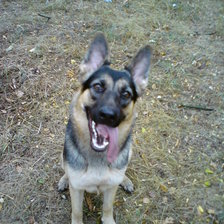 Схема вышивки «Лайма»