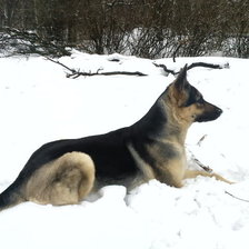 Схема вышивки «Лайма»