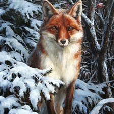 лисичка зимой