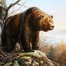 Схема вышивки «хозяин тайги»