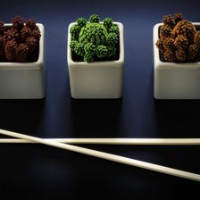 Схема вышивки «Цветные кактусы»