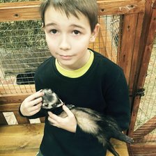 Схема вышивки «дениска»