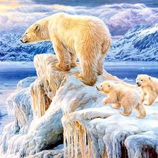 Схема вышивки «мишки на севере»