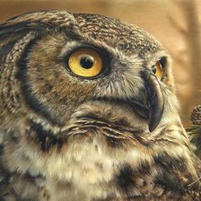 Схема вышивки «взгляд»