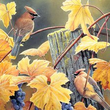 Схема вышивки «птички и виноград»