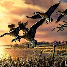 Схема вышивки «Гуси»