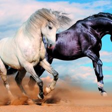 Схема вышивки «Лошади1»