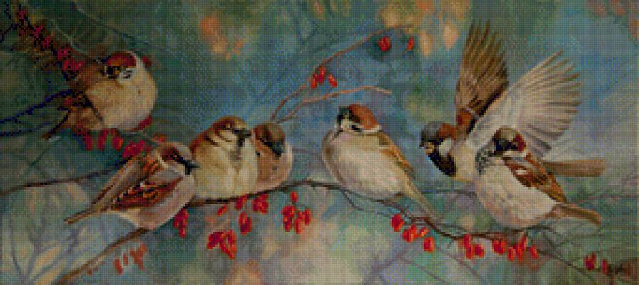 воробьи - птицы - предпросмотр