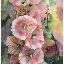 Схема вышивки «Мальвы»