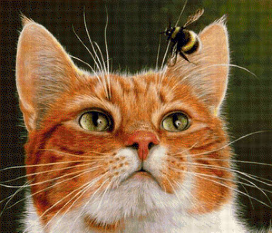 Котик и шмель - коты, котенок, животные, кот - предпросмотр