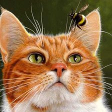 Схема вышивки «Котик и шмель»