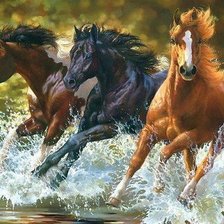 Схема вышивки «кони»