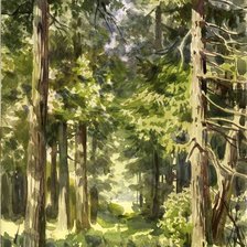 Схема вышивки «лесная тропинка»