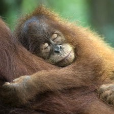 Схема вышивки «малыш»