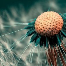 Схема вышивки «№1167202»