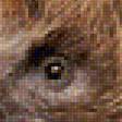Предпросмотр схемы вышивки «ёжик» (№1167204)