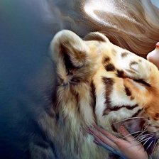 Схема вышивки «девушка с тигром»