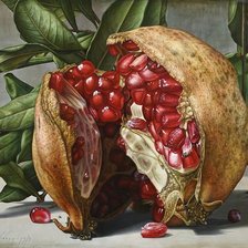 Схема вышивки «Гранат»