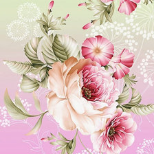 нежные розы