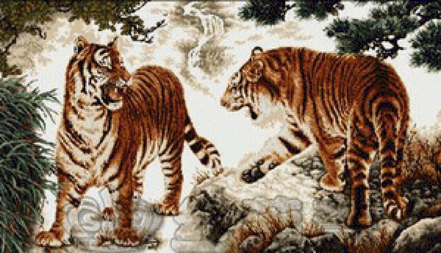 tygrysy - предпросмотр