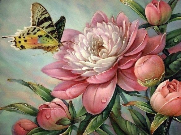 пионы - природа, бабочки, цветы - оригинал