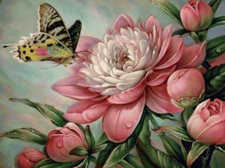 пионы - цветы, бабочки, природа - предпросмотр