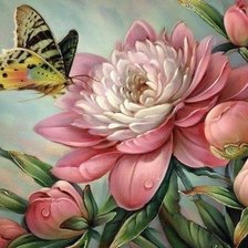 Схема вышивки «пионы»