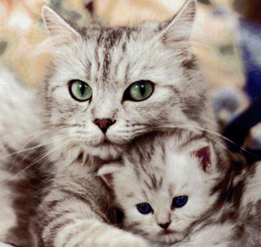 кошка с котенком - кошки, животные - предпросмотр