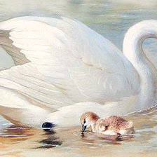 Схема вышивки «117»