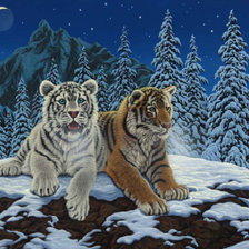 Схема вышивки «Тигры»