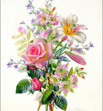 Схема вышивки «розы»