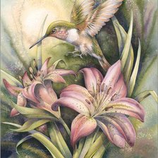 Схема вышивки «колибри и лилии»