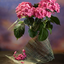 Схема вышивки «гортензия»