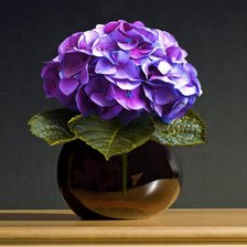 Схема вышивки «гортензия»