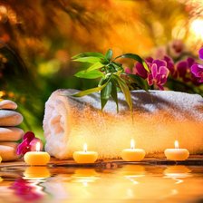 Схема вышивки «Spa»