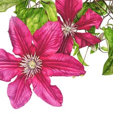 Схема вышивки «№1168978»