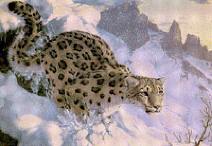 Ирбис - кошка, снежный барс, горы, ирбис - предпросмотр