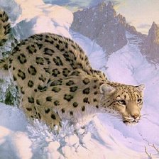 Схема вышивки «Ирбис»