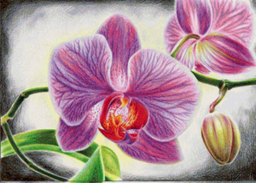 №1169311 - предпросмотр