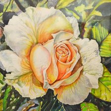 Схема вышивки «№1169325»