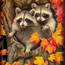 Схема вышивки «пара енотов»