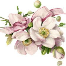 Схема вышивки «Нежные анемоны»