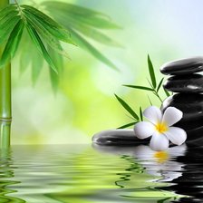 Схема вышивки «Spa»