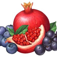 Схема вышивки «Фруктовое ассорти»