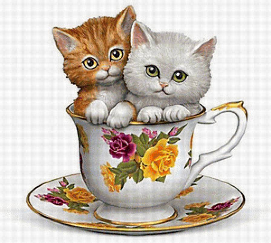 милые малыши - домашние животные, котята, кошка, пара, кошки, котенок - предпросмотр