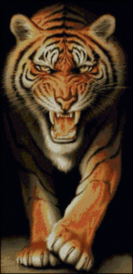 тигр - предпросмотр